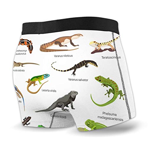 Calzoncillos tipo bóxer para hombre con diseño de lagarto, de la familia de criaturas primitivas, ropa interior de secado rápido Calzoncillos tipo bóxer para hombre con diseño de lagarto, de la familia de criaturas primitivas, ropa interior de secado rápido