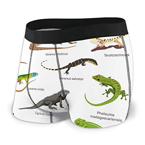 Calzoncillos tipo bóxer para hombre con diseño de lagarto, de la familia de criaturas primitivas, ropa interior de secado rápido Calzoncillos tipo bóxer para hombre con diseño de lagarto, de la familia de criaturas primitivas, ropa interior de secado rápido