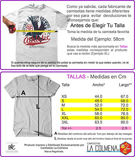 Camisetas La Colmena 164 - Looking for The Dragon Balls (ddjvigo) (Roja, XL)