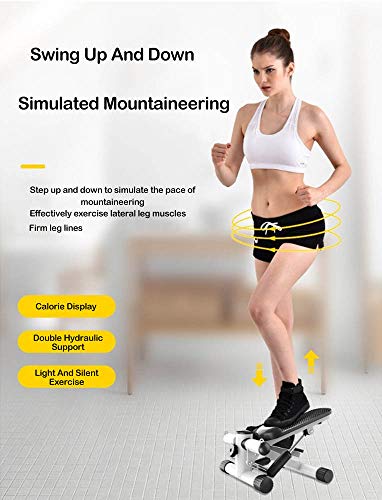 CANQI Fitness Gym Machine Mini Stepper Stepping Legs con Bandas De Resistencia, Arm Cords Stair Climber Gym Step Swing (Negro) CANQI Fitness Gym Machine Mini Stepper Stepping Legs con Bandas De Resistencia, Arm Cords Stair Climber Gym Step Swing (Negro)