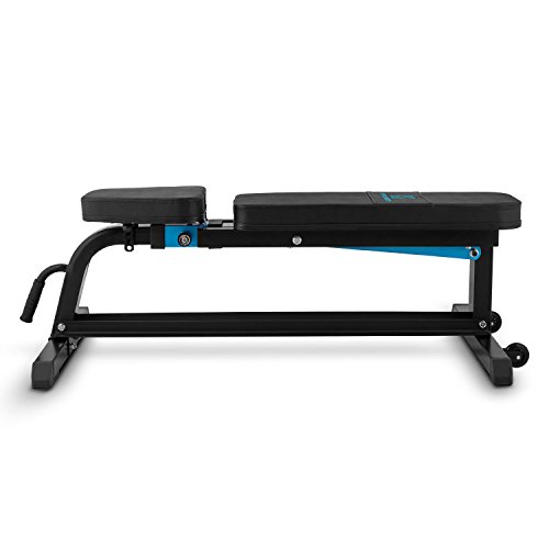 CapitalSports Adjustar Banco de Entrenamiento Adaptable (Peso máximo soportado 300kg, Varios Niveles de Apoyo Ajustables, Asiento Regulable, Cuero sintético alcochado 5cm, Acero Negro) CapitalSports Adjustar Banco de Entrenamiento Adaptable (Peso máximo soportado 300kg, Varios Niveles de Apoyo Ajustables, Asiento Regulable, Cuero sintético alcochado 5cm, Acero Negro)