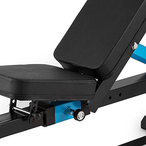 CapitalSports Adjustar Banco de Entrenamiento Adaptable (Peso máximo soportado 300kg, Varios Niveles de Apoyo Ajustables, Asiento Regulable, Cuero sintético alcochado 5cm, Acero Negro)