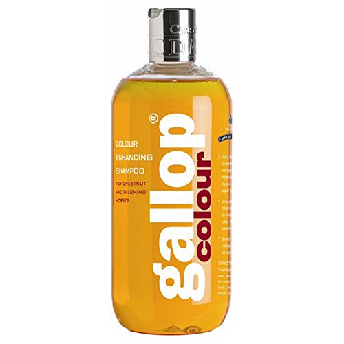 CARR & DAY & MARTIN Gallop - Champú, color castaño y palomino CARR & DAY & MARTIN Gallop - Champú, color castaño y palomino