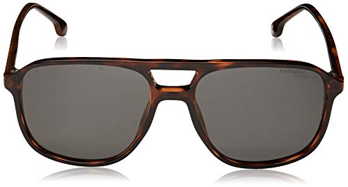 Carrera 173/S gafas de sol, BRW HAVAN, 56 Unisex Adulto Carrera 173/S gafas de sol, BRW HAVAN, 56 Unisex Adulto