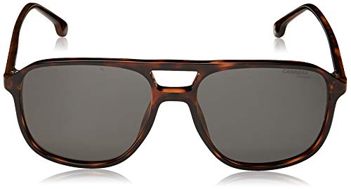 Carrera 173/S gafas de sol, BRW HAVAN, 56 Unisex Adulto