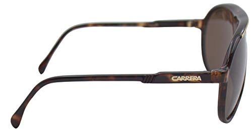 Carrera Gafas de Sol CHAMPION Dark Havana/Brown 62/12/125 hombre Carrera Gafas de Sol CHAMPION Dark Havana/Brown 62/12/125 hombre
