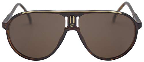 Carrera Gafas de Sol CHAMPION Dark Havana/Brown 62/12/125 hombre