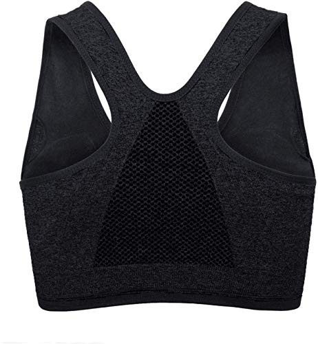 Cassiecy Sujetador Deportivo XXXL Sujetador de sujeción Fuerte, Cremallera Delantera, Acolchado, sin Aros, cómodo, Transpirable, para Correr, Fitness, Push up, Sujetador Negro XXL Cassiecy Sujetador Deportivo XXXL Sujetador de sujeción Fuerte, Cremallera Delantera, Acolchado, sin Aros, cómodo, Transpirable, para Correr, Fitness, Push up, Sujetador Negro XXL