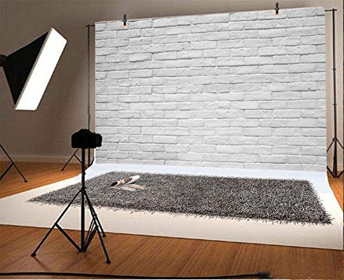 Cassisy 3x2m Vinilo Telon de Fondo Resumen Vintage Lavado Retro Vacío Textura Pared De Ladrillo Blanco Fondos para Fotografia Party Photo Studio Props Photo Booth