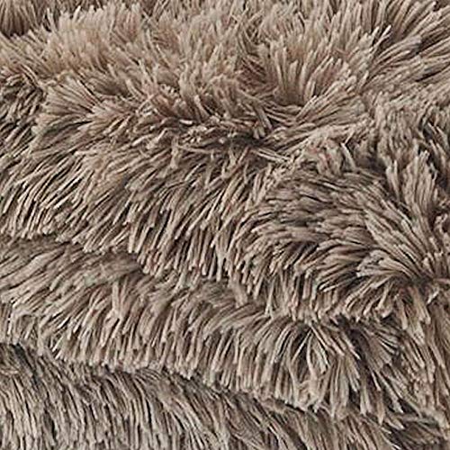 Catherine Lansfield - Manta suave, tela de peluche, Color Natural, 150 x 200 cm Catherine Lansfield - Manta suave, tela de peluche, Color Natural, 150 x 200 cm