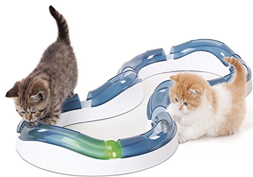Catit Circuito de Rodillos, desarrollar los sentidos de tu Gato Catit Circuito de Rodillos, desarrollar los sentidos de tu Gato