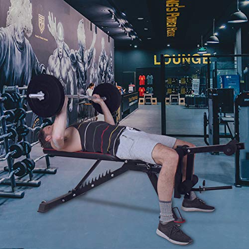 CCLIFE Banco de Pesas Ajustable Banco de Abdominales y Pierna Carga máxima 300 kg, Color:Banco de Pesas 022 CCLIFE Banco de Pesas Ajustable Banco de Abdominales y Pierna Carga máxima 300 kg, Color:Banco de Pesas 022