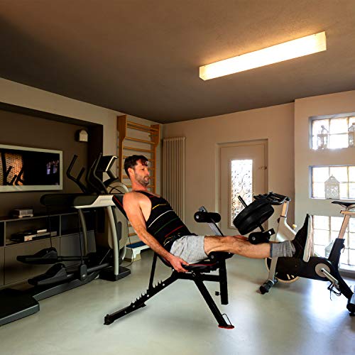 CCLIFE Banco de Pesas Ajustable Banco de Abdominales y Pierna Carga máxima 300 kg, Color:Banco de Pesas 022 CCLIFE Banco de Pesas Ajustable Banco de Abdominales y Pierna Carga máxima 300 kg, Color:Banco de Pesas 022