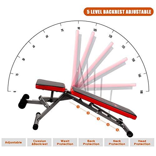 CCLIFE Banco Musculación Abdominales de Abdominales Banco de Pesas, Color:DHNTL003A0000rot CCLIFE Banco Musculación Abdominales de Abdominales Banco de Pesas, Color:DHNTL003A0000rot