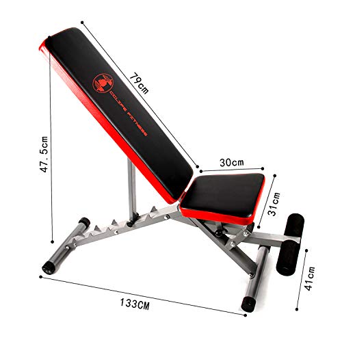 CCLIFE Banco Musculación Abdominales de Abdominales Banco de Pesas, Color:DHNTL003A0000rot CCLIFE Banco Musculación Abdominales de Abdominales Banco de Pesas, Color:DHNTL003A0000rot