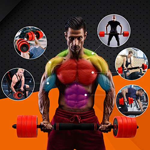 CCLIFE Mancuernas 2en1 y Barra Ajustable, Pesas Hierro Mancuernas Hierro de 20 kg / 40 kg CCLIFE Mancuernas 2en1 y Barra Ajustable, Pesas Hierro Mancuernas Hierro de 20 kg / 40 kg