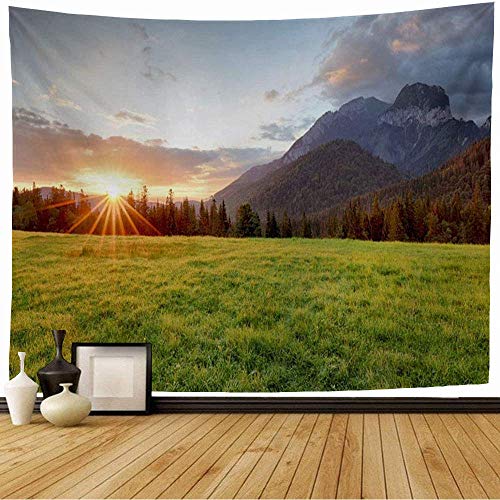 CDMT-XU1 Bosque Amanecer Paisaje Montañas Eslovaquia Tatranska Cielo de la mañana Javorina Parques Naturales Tapiz de Vigas para Exteriores 80 x 60 Pulgadas