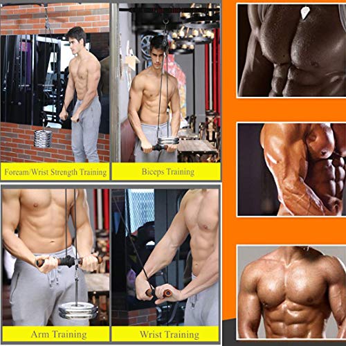 CELLTEK Entrenador de muñeca para antebrazo, antebrazo, entrenamiento de brazo, entrenamiento, levantamiento de pesas en casa, gimnasio, polea de cable CELLTEK Entrenador de muñeca para antebrazo, antebrazo, entrenamiento de brazo, entrenamiento, levantamiento de pesas en casa, gimnasio, polea de cable