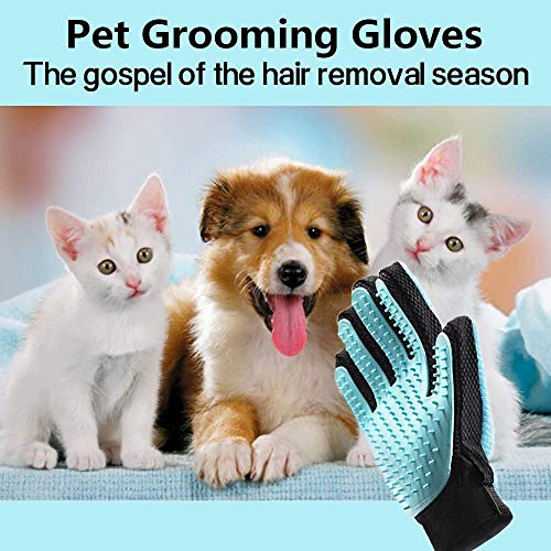 Cepillo para Guantes -con Removedor de pelo para Muebles - Limpieza de Mascotas Para Perros Pequeños, Medianos y Grandes & Gatos Con Pelaje Corto a Largo - Reduce Eficazmente la Caida de Cabello Hasta Cepillo para Guantes -con Removedor de pelo para Muebles - Limpieza de Mascotas Para Perros Pequeños, Medianos y Grandes & Gatos Con Pelaje Corto a Largo - Reduce Eficazmente la Caida de Cabello Hasta