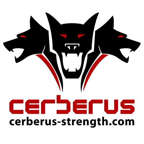 Cerberus - Kit de Forro para Bolsa de Arena con 2 Bridas Resistentes