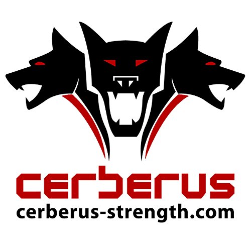 Cerberus - Kit de Forro para Bolsa de Arena con 2 Bridas Resistentes Cerberus - Kit de Forro para Bolsa de Arena con 2 Bridas Resistentes
