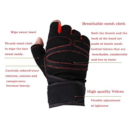 CESHMD Sport Gym Guantes Mitad Dedos Levantamiento Breathable Fitness – Pesas Guantes Hombres Mujeres Gym Guantes (Negro, L) CESHMD Sport Gym Guantes Mitad Dedos Levantamiento Breathable Fitness – Pesas Guantes Hombres Mujeres Gym Guantes (Negro, L)