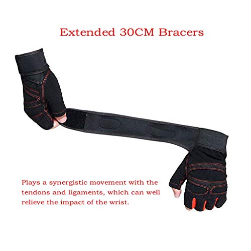 CESHMD Sport Gym Guantes Mitad Dedos Levantamiento Breathable Fitness – Pesas Guantes Hombres Mujeres Gym Guantes (Negro, L) CESHMD Sport Gym Guantes Mitad Dedos Levantamiento Breathable Fitness – Pesas Guantes Hombres Mujeres Gym Guantes (Negro, L)