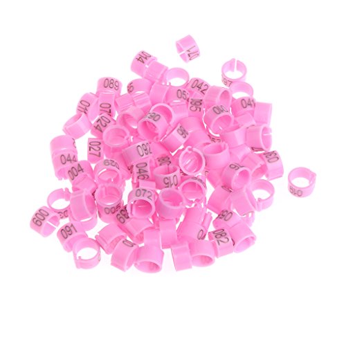 chenpaif Identify Ring, 100 Pcs 8mm Identify Ring Carrier Pigeon Training Supplies Número de Pierna Bandas de pájaros Rosa