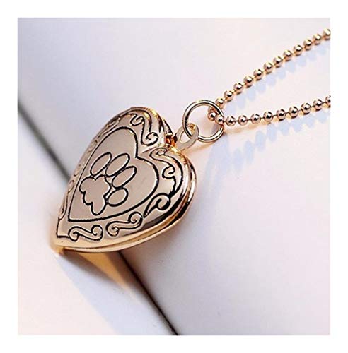 chenyou Día Joyería Collar Colgante De Regalo Foto De Color Collar De Plata/Oro De La Pata del Gato del Perro Casero Huella De La Madre Mujer niña para (Metal Color : Gold) chenyou Día Joyería Collar Colgante De Regalo Foto De Color Collar De Plata/Oro De La Pata del Gato del Perro Casero Huella De La Madre Mujer niña para (Metal Color : Gold)