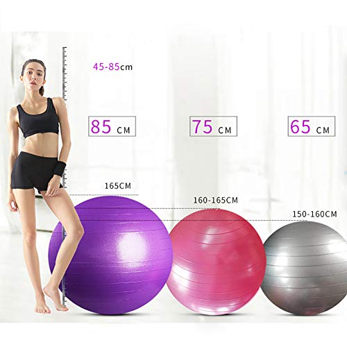 Chiatai Pelota de Ejercicio, Soportes para Pelotas de Gimnasia con Bomba rápida Pelota de Parto para Yoga, Pilates, Fitness, Embarazo, Gris, 45 cm