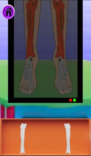 cirugia de pierna