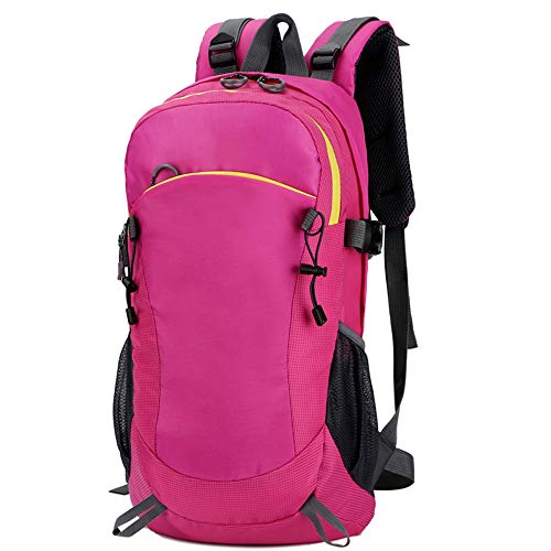 CLCCYYSJD Mochila al Aire Libre, Oxford Mochila de Lona, ​​al Aire Libre Entrenamiento físico, Carrera Peso de la Bolsa, Unisex Mochila pequeña (Color : Pink)