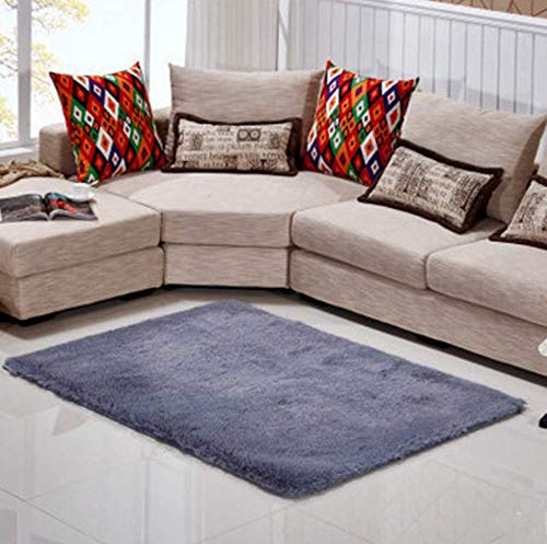 CNFQ Shaggy alfombras de Pelo Largo alfombras Salon alfombras de habitacion moquetas Sala de Estar (Gris, 120 x 80 cm)