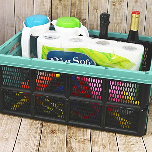 com-four® Caja Plegable de 32 litros - Caja de Transporte con Asas - Caja de almacenaje Robusta - Cesta de la Compra Plegable (50.5x33x22cm - 01 Pieza - Turquesa Pastel) com-four® Caja Plegable de 32 litros - Caja de Transporte con Asas - Caja de almacenaje Robusta - Cesta de la Compra Plegable (50.5x33x22cm - 01 Pieza - Turquesa Pastel)