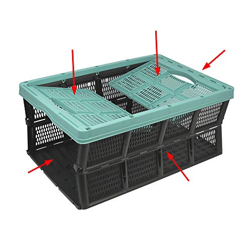 com-four® Caja Plegable de 32 litros - Caja de Transporte con Asas - Caja de almacenaje Robusta - Cesta de la Compra Plegable (50.5x33x22cm - 01 Pieza - Turquesa Pastel)