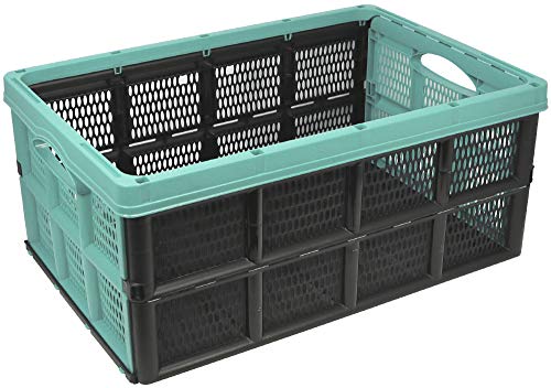com-four® Caja Plegable de 32 litros - Caja de Transporte con Asas - Caja de almacenaje Robusta - Cesta de la Compra Plegable (50.5x33x22cm - 01 Pieza - Turquesa Pastel) com-four® Caja Plegable de 32 litros - Caja de Transporte con Asas - Caja de almacenaje Robusta - Cesta de la Compra Plegable (50.5x33x22cm - 01 Pieza - Turquesa Pastel)