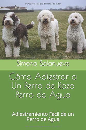 Cómo Adiestrar a Un Perro de Raza Perro de Agua: Adiestramiento Fácil de un Perro de Agua