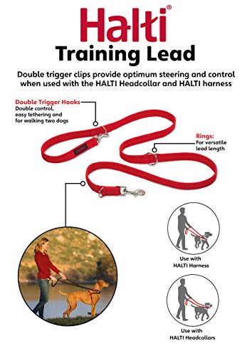 Company of Animals HALTI Jefe de Entrenamiento, Negro, L Company of Animals HALTI Jefe de Entrenamiento, Negro, L