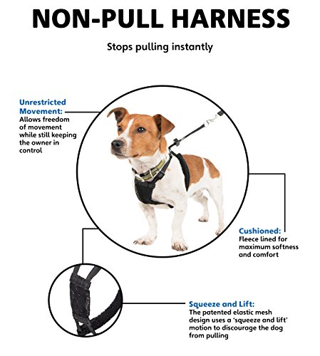 Company of Animals HALTI No-Pull Harness Medium