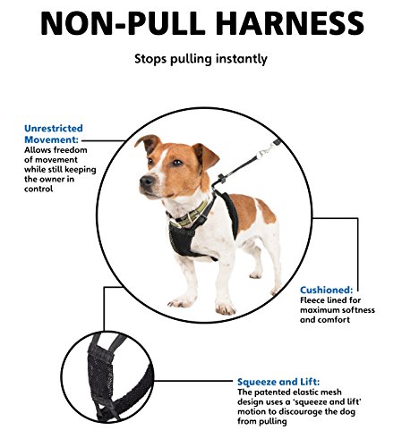 Company of Animals HALTI No-Pull Harness Medium Company of Animals HALTI No-Pull Harness Medium