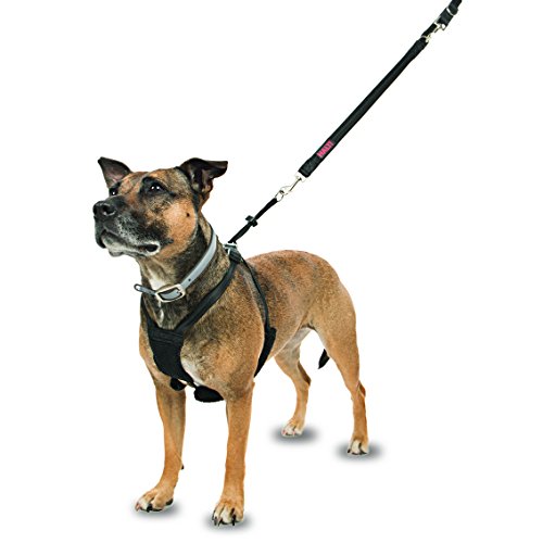 Company of Animals HALTI No-Pull Harness Medium Company of Animals HALTI No-Pull Harness Medium