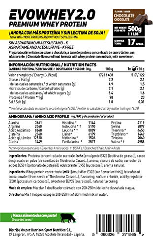 Concentrado de Proteína de Suero Evowhey Protein 2.0 de HSN | Whey Protein Concentrate| Batido de Proteínas en Polvo | Vegetariano, Sin Gluten, Sin Soja, Sabor Chocolate, 500g