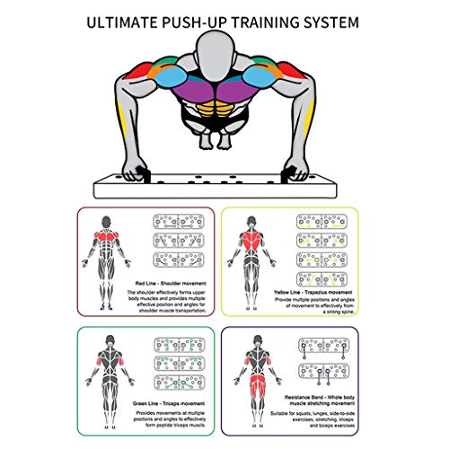 Coriver 13 en 1 Push Up Rack Board con Bandas de Resistencia, Plegable Body Building Press Up Board & Carry Bag, Muscle Board Strength Board para Ejercicios de Entrenamiento en el hogar Coriver 13 en 1 Push Up Rack Board con Bandas de Resistencia, Plegable Body Building Press Up Board & Carry Bag, Muscle Board Strength Board para Ejercicios de Entrenamiento en el hogar