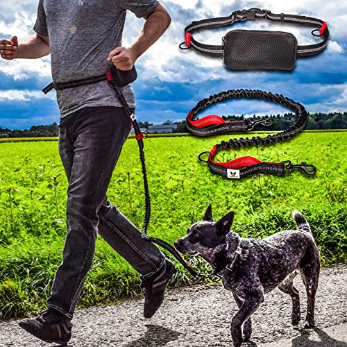 Correa perro para correr a manos libres elástica reflectante y extensible de 120 a 170 cm | Canicross Correa perro para correr a manos libres elástica reflectante y extensible de 120 a 170 cm | Canicross