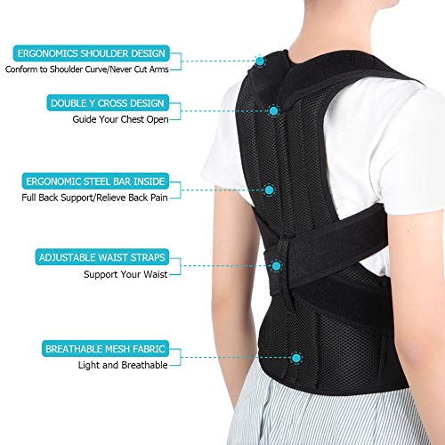 Corrector de Postura Espalda, Ajustables Apoyo de Espalda, Enderezador de Espalda, Cinturón Corrección de Postura para Hombres y Mujeres, Aliviar el dolor de Espalda y Hombro (L(91-104cm)) Corrector de Postura Espalda, Ajustables Apoyo de Espalda, Enderezador de Espalda, Cinturón Corrección de Postura para Hombres y Mujeres, Aliviar el dolor de Espalda y Hombro (L(91-104cm))