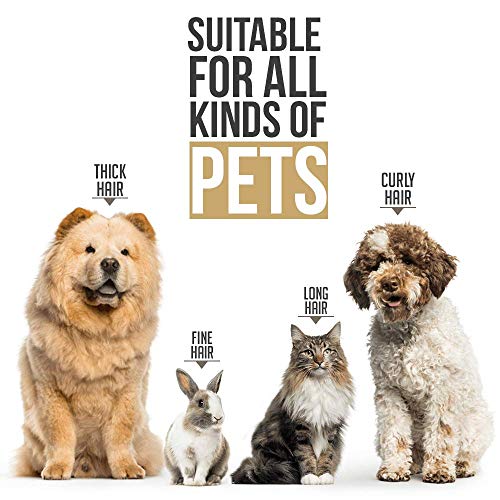 Cortapelos Perros Profesional Maquina Cortar Pelo Perros Esquiladora Perro Pelo Largo Corta Pelo para Perro Maquina de Pelar Perros Cortador de Pelo para Perros Mascotas Gatos Dog Hair Clipper Cortapelos Perros Profesional Maquina Cortar Pelo Perros Esquiladora Perro Pelo Largo Corta Pelo para Perro Maquina de Pelar Perros Cortador de Pelo para Perros Mascotas Gatos Dog Hair Clipper