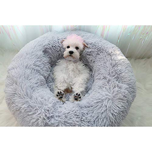 Cozywind Cama Gato Suave Cama Perro Redonda,Mascotas Calentito Cojín Lavable Invierno de Felpa,Diámetro 50cm,Gris Claro Cozywind Cama Gato Suave Cama Perro Redonda,Mascotas Calentito Cojín Lavable Invierno de Felpa,Diámetro 50cm,Gris Claro