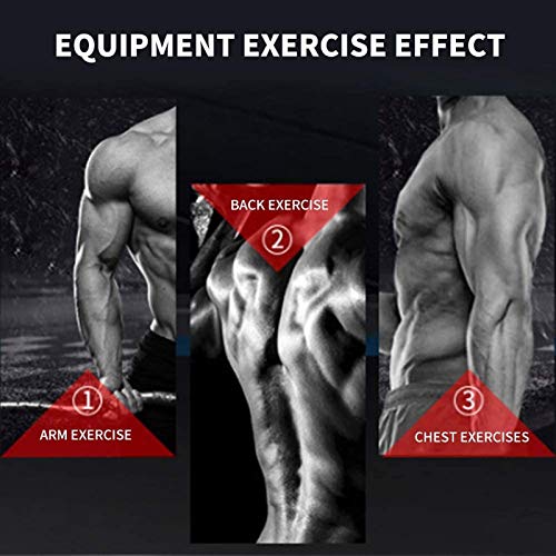 CTZL Banco Musculación Taburete con MusculacióN Multiusos De Abdominales Plegable Entrenamiento/Tablero Supino/Banco Fitness para Whole Body Ejercicio Maquinas de Gimnasio CTZL Banco Musculación Taburete con MusculacióN Multiusos De Abdominales Plegable Entrenamiento/Tablero Supino/Banco Fitness para Whole Body Ejercicio Maquinas de Gimnasio