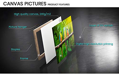 Cuadro sobre Lienzo - de una Sola Pieza - Impresión en Lienzo - Ancho: 120cm, Altura: 80cm - Foto número 2882 - Listo para Colgar - en un Marco - AA120x80-2882