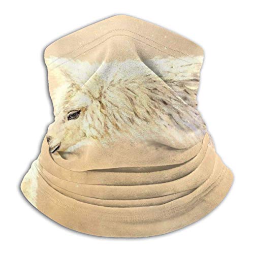 Cuello Bufanda Alpaca Madre y niño Calentador de Cuello Polaina de Cuello Bufanda Envoltura de Calentamiento de Cuello Cuello Bufanda Alpaca Madre y niño Calentador de Cuello Polaina de Cuello Bufanda Envoltura de Calentamiento de Cuello